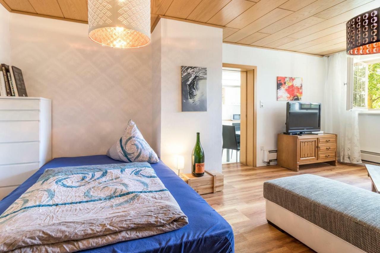 Villa-Doerr 100 M² + 1500M² Garten Wörrstadt Dış mekan fotoğraf